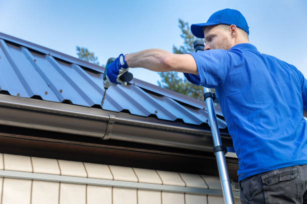 Best Metal Roofing Installation  in Waterloo, IL