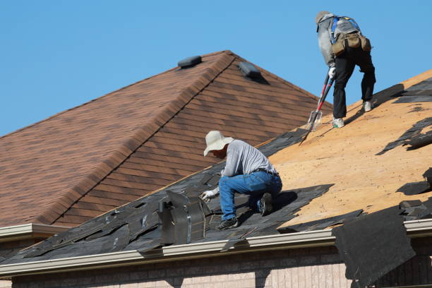 Best Gutter Installation and Repair  in Waterloo, IL