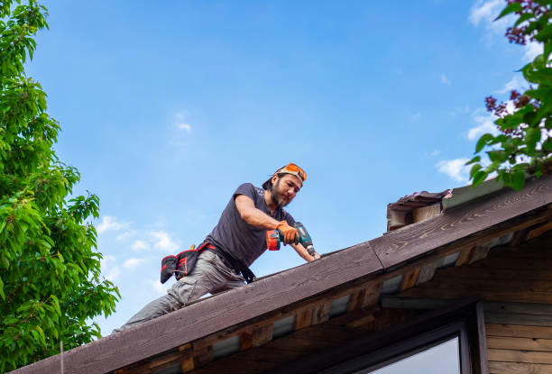 Best Roof Installation  in Waterloo, IL