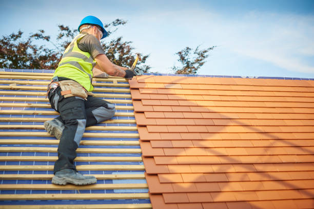 Roof Insulation in Waterloo, IL